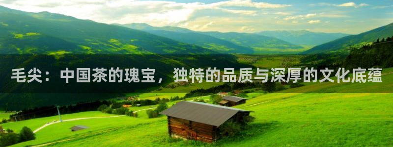 龙八国际平台安卓