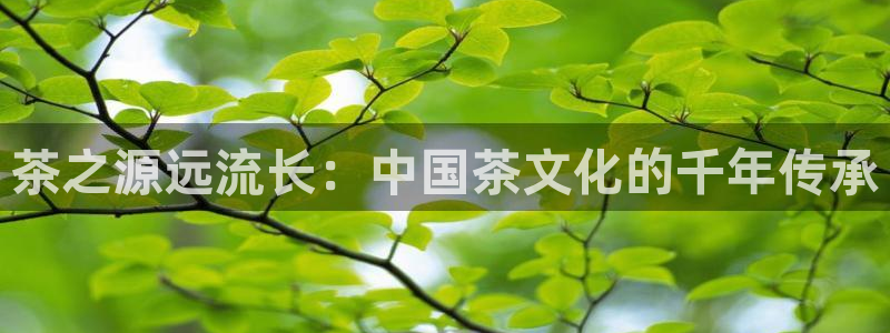 龙八国际app官网