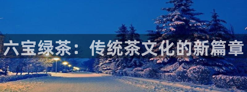 龙八国际手机游戏官网