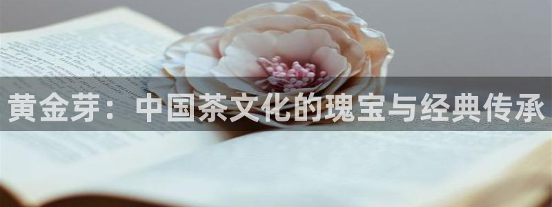 龙八国际娱乐中心